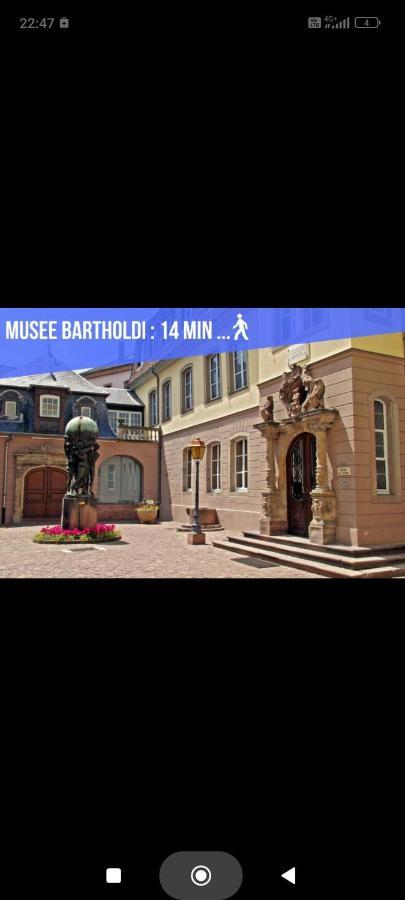 Refuge Ladhof Odysalis I Chic-Moderne-Proche Du Centre-Ville 3 Pieces 2 Chambres Colmar Buitenkant foto
