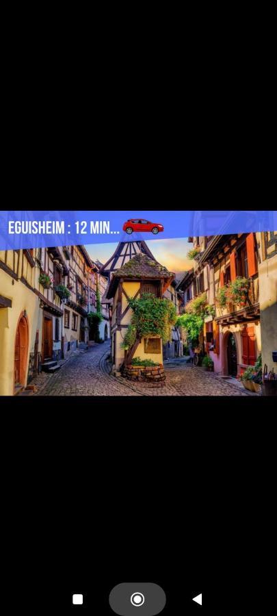 Refuge Ladhof Odysalis I Chic-Moderne-Proche Du Centre-Ville 3 Pieces 2 Chambres Colmar Buitenkant foto