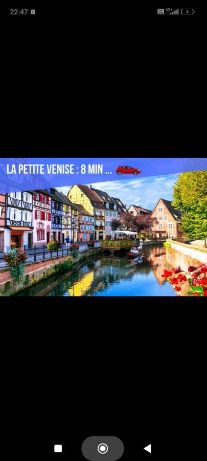 Refuge Ladhof Odysalis I Chic-Moderne-Proche Du Centre-Ville 3 Pieces 2 Chambres Colmar Buitenkant foto