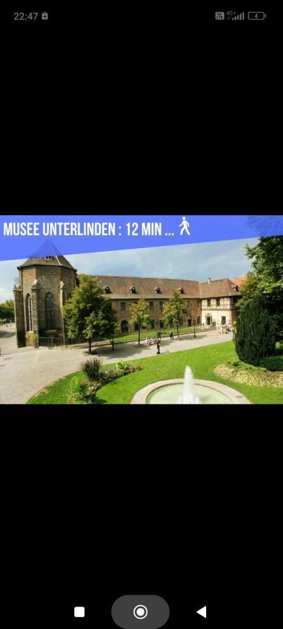 Refuge Ladhof Odysalis I Chic-Moderne-Proche Du Centre-Ville 3 Pieces 2 Chambres Colmar Buitenkant foto